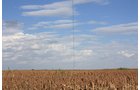 Property photo 109 - LAND AUCTION, 3255+/- Acres offered in 13 Tracts
